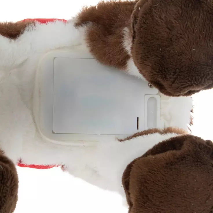 Viral Christmas Horse