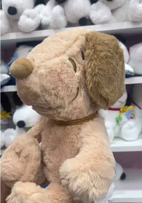 Brown Snoopy